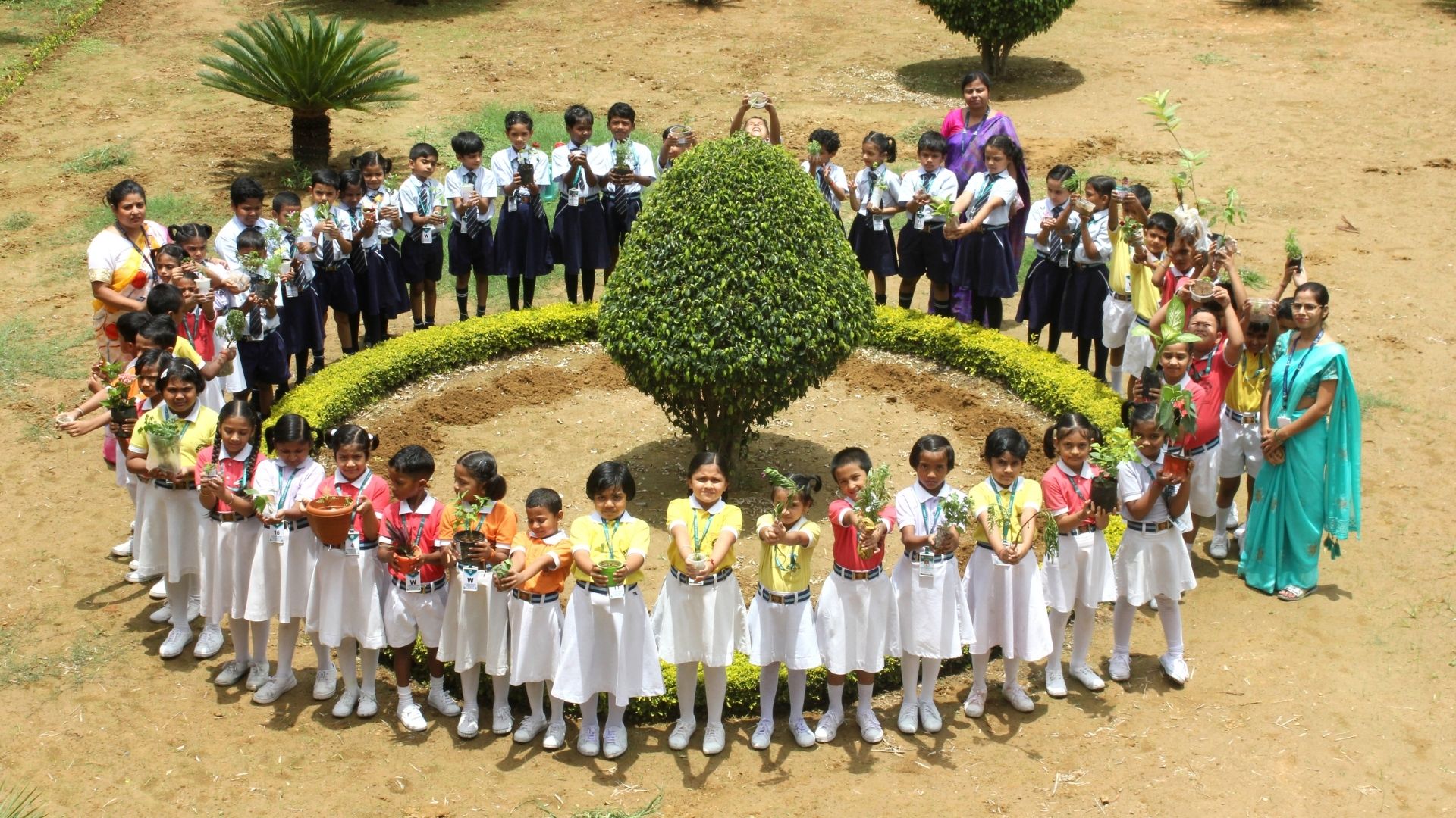 Mock Market Activity